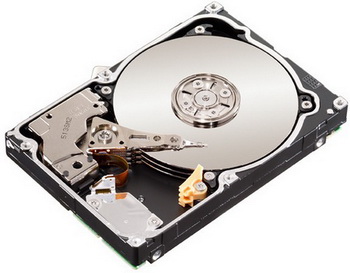 Seagate constellation ES